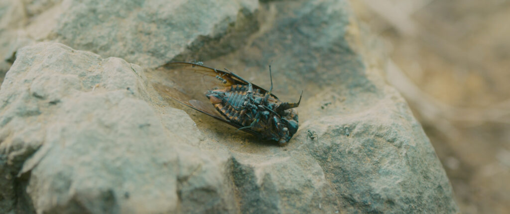 月老論文（關於鬼頭成的執念與放下4/4 完） 5