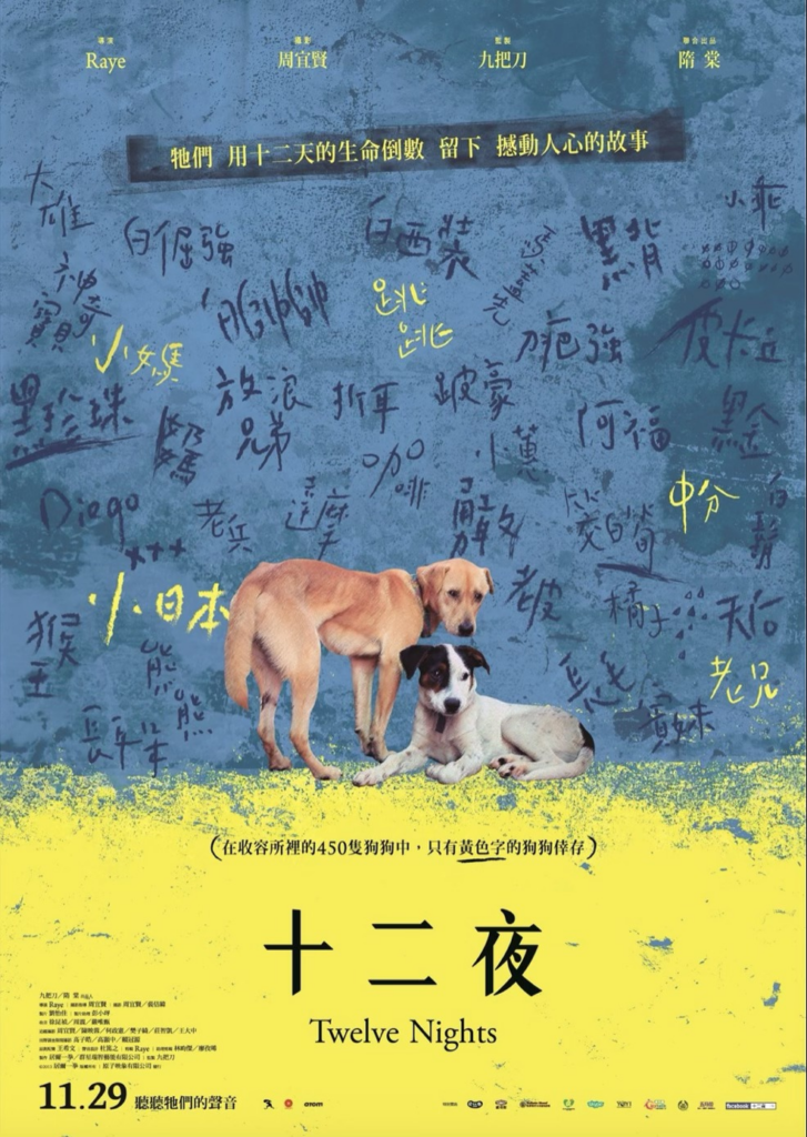 在我最黑的時候，我也沒有懷疑過紀錄片<12夜>的努力 5